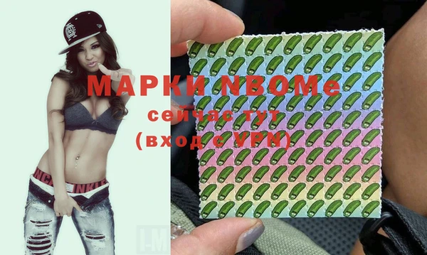 бошки Алексин