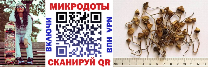 дарк нет как зайти  что такое наркотик  Фролово  Галлюциногенные грибы Psilocybine cubensis 